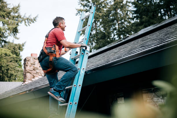 Best Roof Insulation Installation  in Cornish, ME